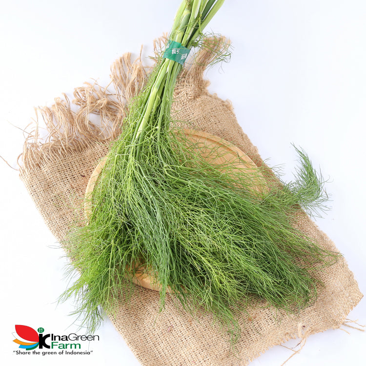Inagreen Farm Bandung Daun Dill Fresh 100 Gram