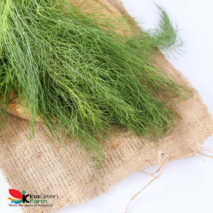 Inagreen Farm Bandung Daun Dill Fresh 100 Gram