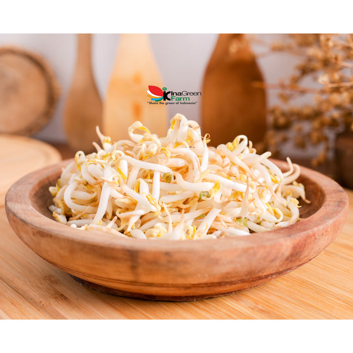 Inagreen Farm Bandung Sayur Tauge / Toge Fresh