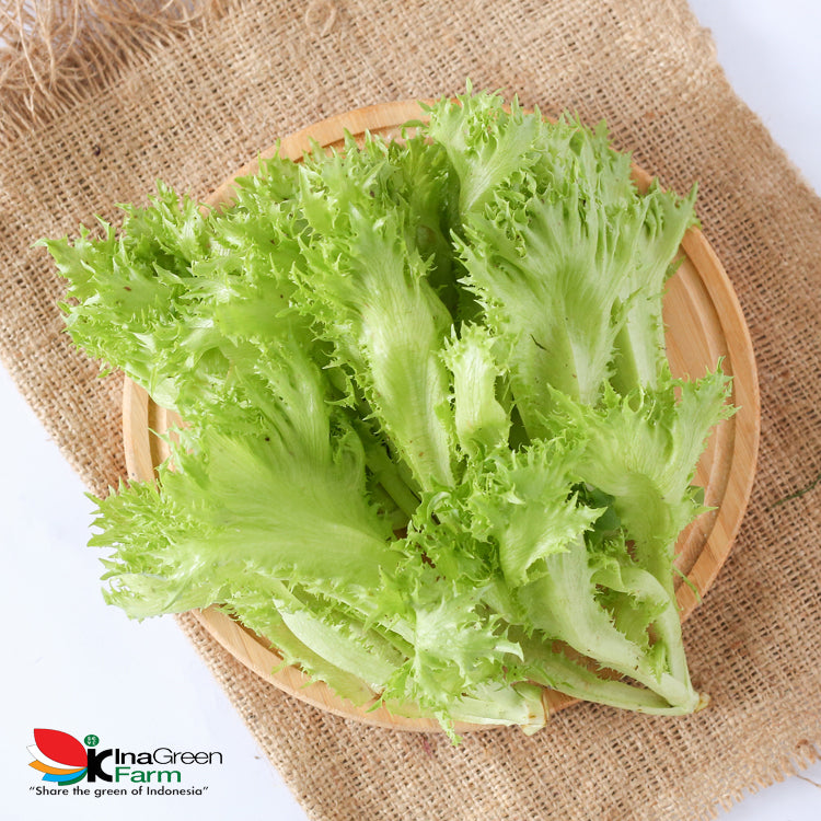 Inagreen Farm Bandung Sayur Crispinet Lettuce Organik 250 Gram