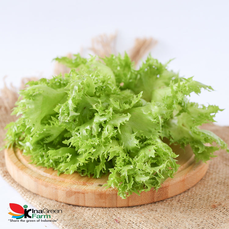 Inagreen Farm Bandung Sayur Crispinet Lettuce Organik 250 Gram