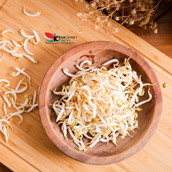 Inagreen Farm Bandung Sayur Tauge / Toge Fresh