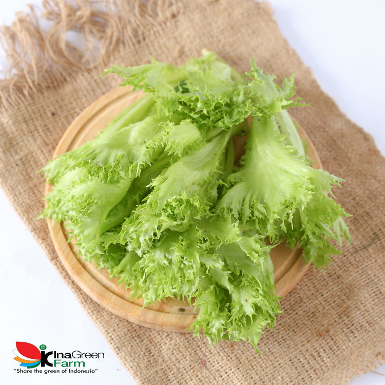 Inagreen Farm Bandung Sayur Crispinet Lettuce Organik 250 Gram
