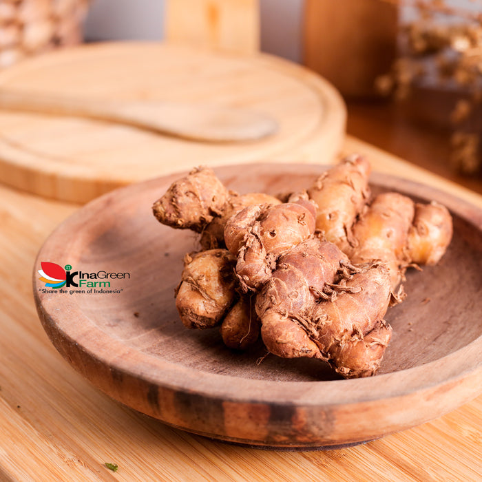 Inagreen Farm Bandung Kencur / cikur 100 Gram