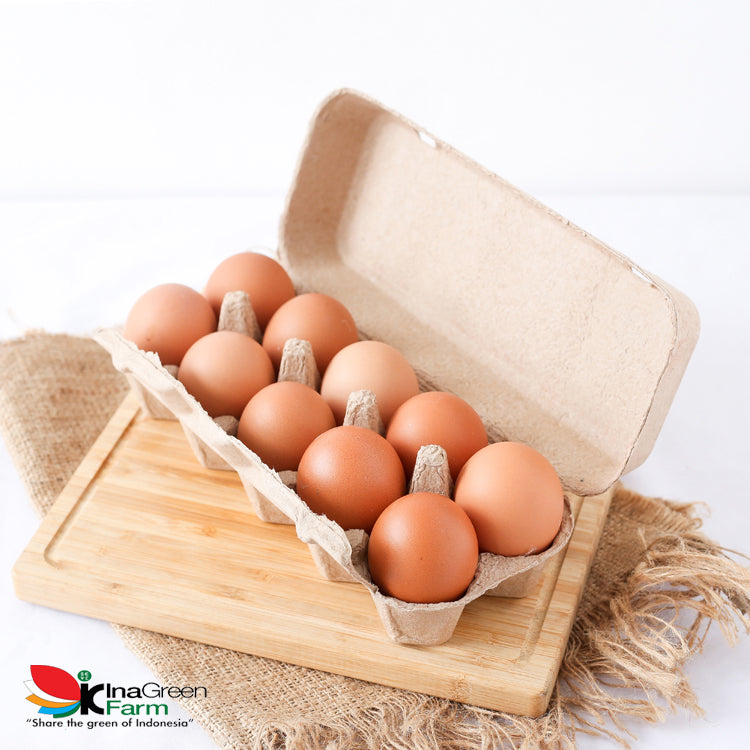 Inagreen Farm Bandung Telur Ayam Negeri Fresh isi 10 Pcs