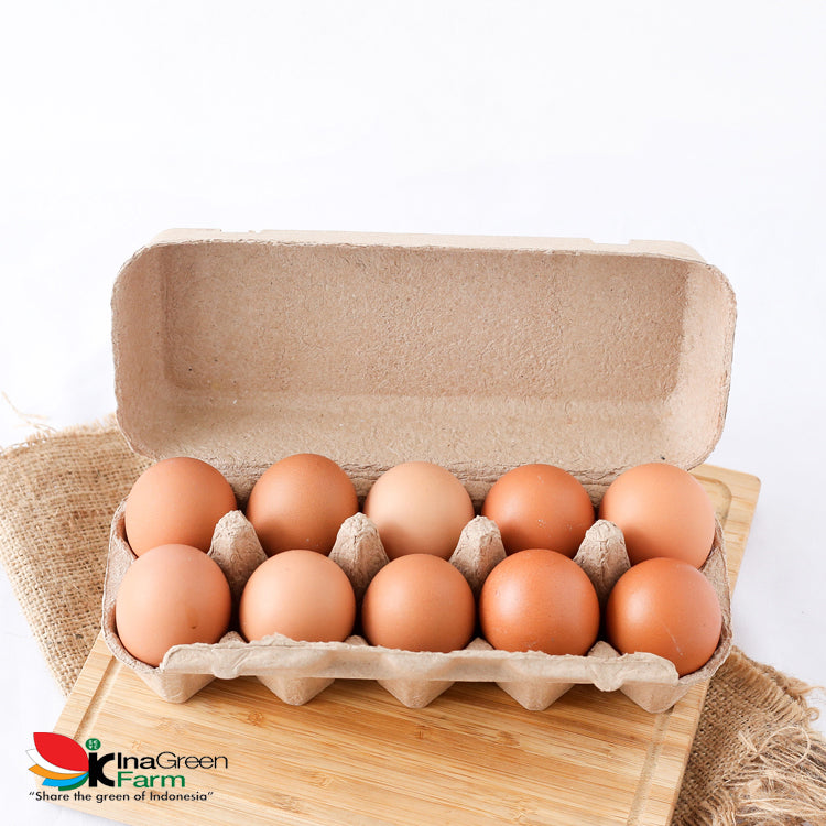 Inagreen Farm Bandung Telur Ayam Negeri Fresh isi 10 Pcs