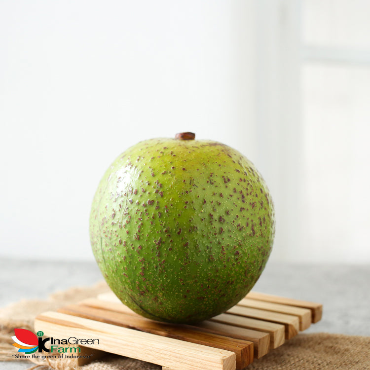 Buah Alpukat Wina Premium Inagreen