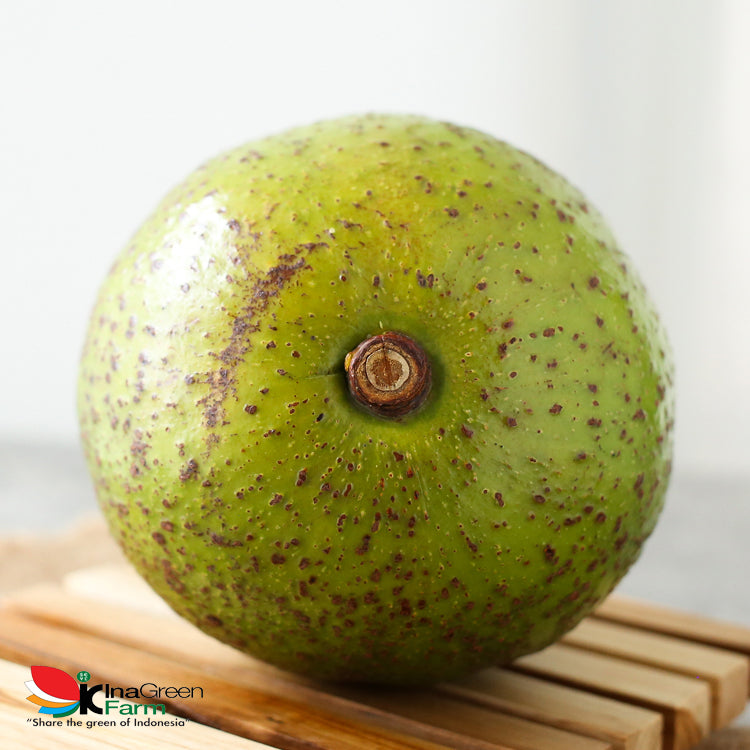 Buah Alpukat Wina Premium Inagreen