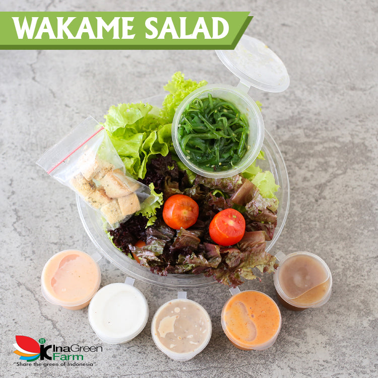 Wakame Salad Fresh Inagreen