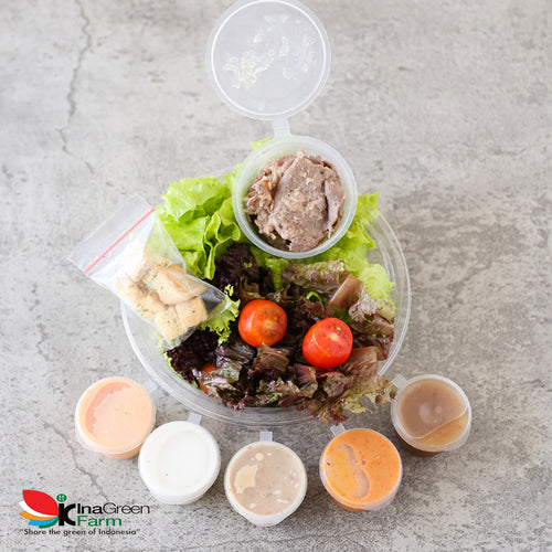 Beef Bulgogi Salad Fresh Inagreen