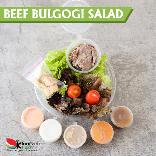 Beef Bulgogi Salad Fresh Inagreen