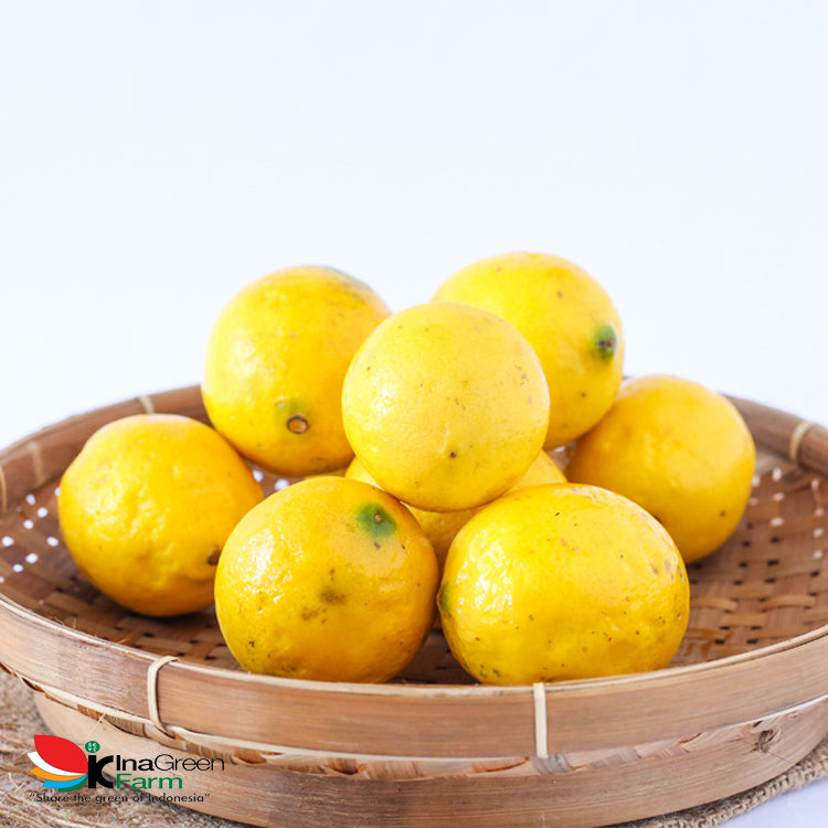 Inagreen Farm Bandung Jeruk Lemon Lokal