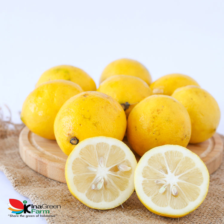 Inagreen Farm Bandung Jeruk Lemon Lokal