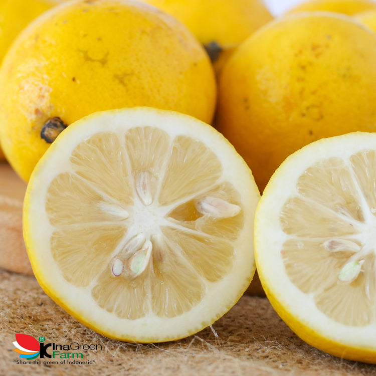 Inagreen Farm Bandung Jeruk Lemon Lokal