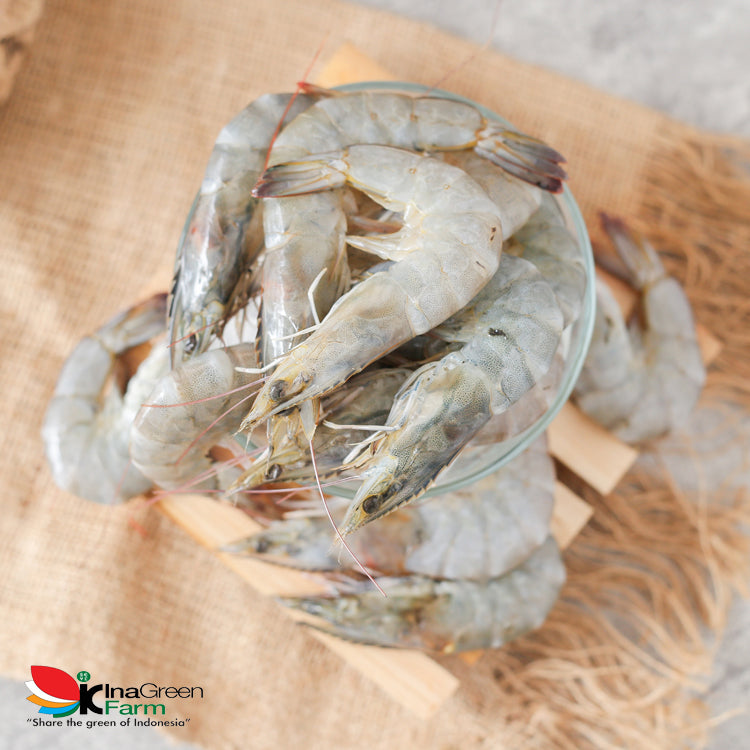Inagreen Farm Bandung Udang Peci Besar Premium
