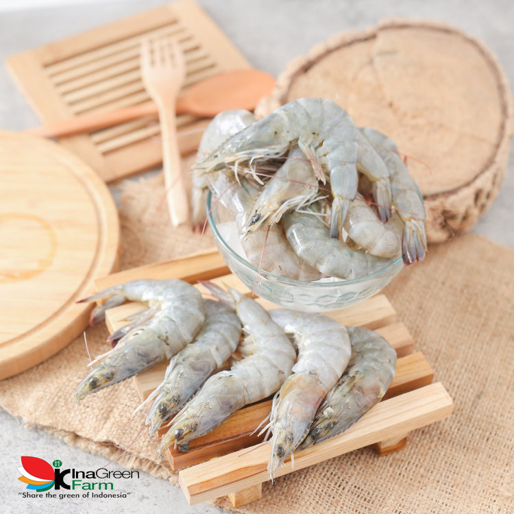 Inagreen Farm Bandung Udang Peci Besar Premium