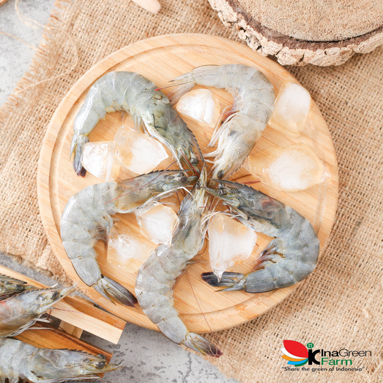 Inagreen Farm Bandung Udang Peci Besar Premium