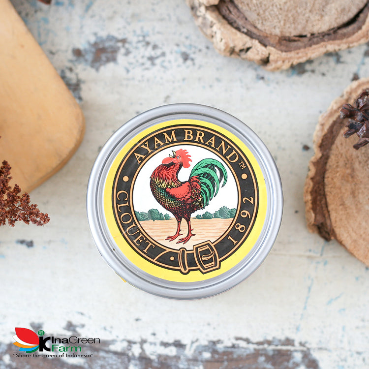 Inagreen Farm Bandung Ayam Brand Ikan Tuna Kaleng Chunk In Oil 150gr