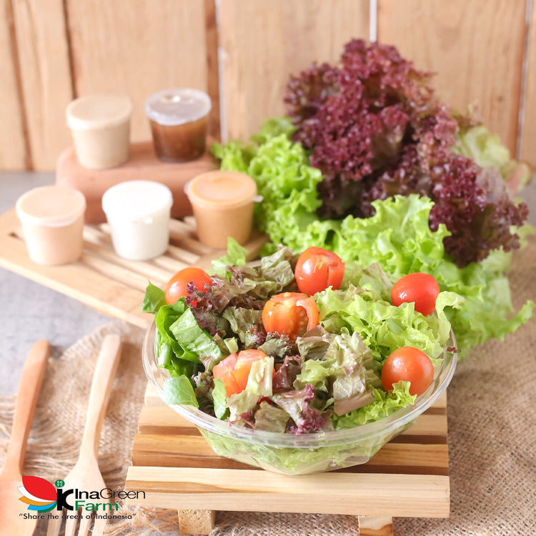 Inagreen Farm Bandung Simple Salad Set Sahabat Inagreen