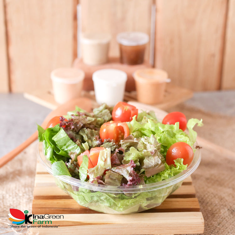 Inagreen Farm Bandung Simple Salad Set Sahabat Inagreen