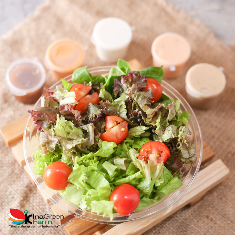 Inagreen Farm Bandung Simple Salad Set Sahabat Inagreen