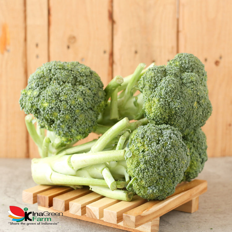 Sayur Brokoli Fresh Inagreen Farm Bandung