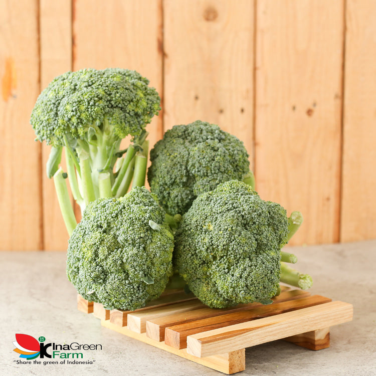 Sayur Brokoli Fresh Inagreen Farm Bandung