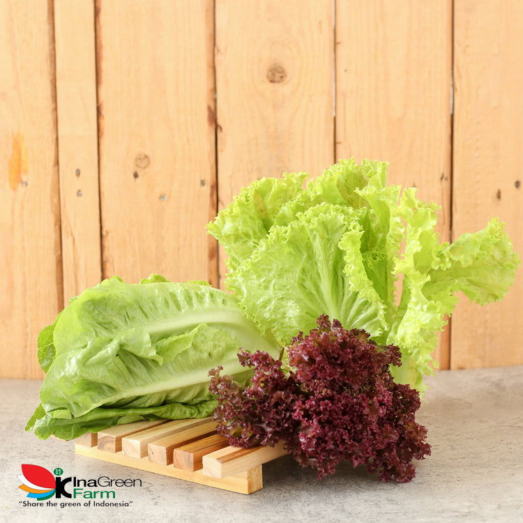 Inagreen Farm Bandung Mix Salad Organik 250 Gram
