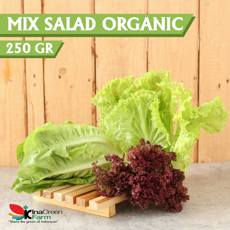 Inagreen Farm Bandung Mix Salad Organik 250 Gram