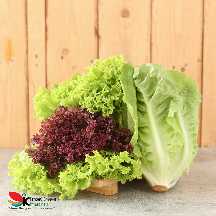Inagreen Farm Bandung Mix Salad Organik 250 Gram