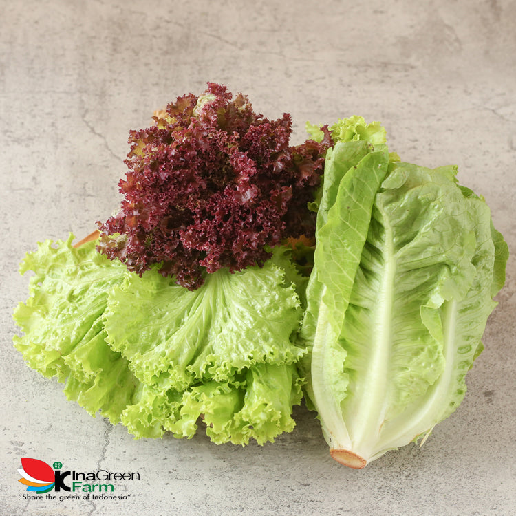 Inagreen Farm Bandung Mix Salad Organik 250 Gram