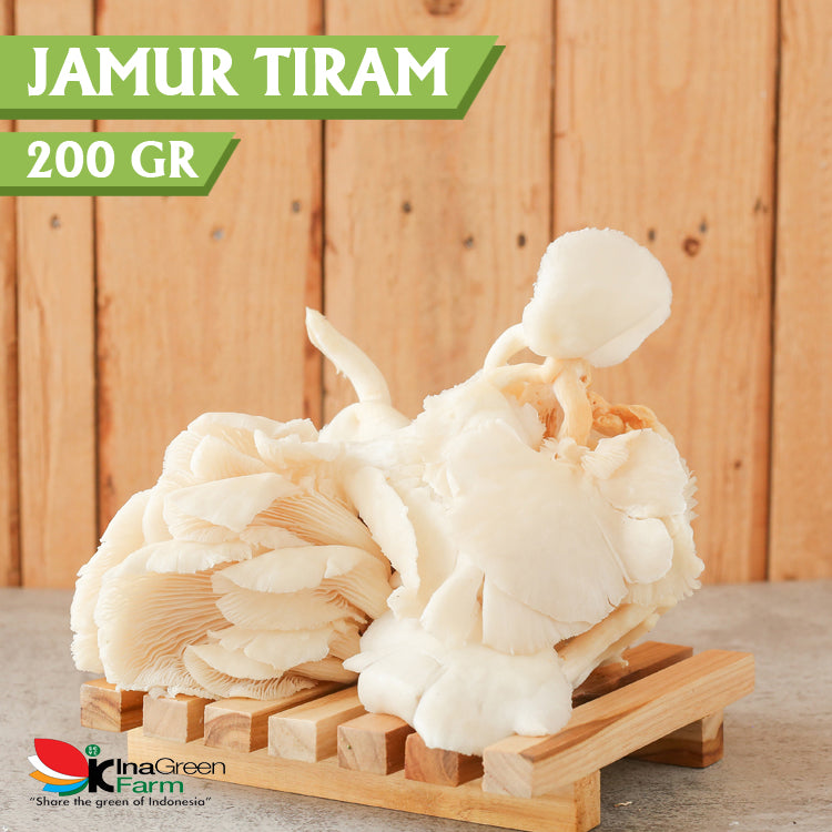 Inagreen Farm Bandung Jamur Tiram Fresh