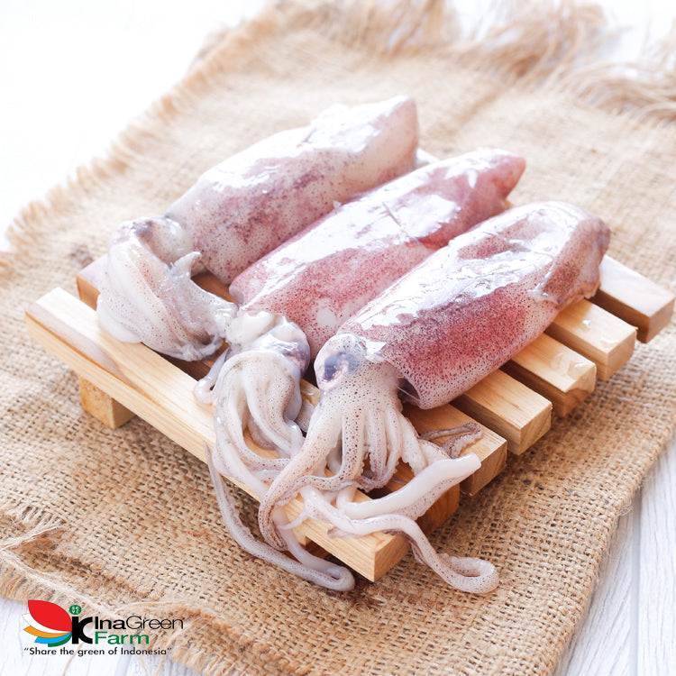 Inagreen Farm Bandung Cumi Premium 500 Gram