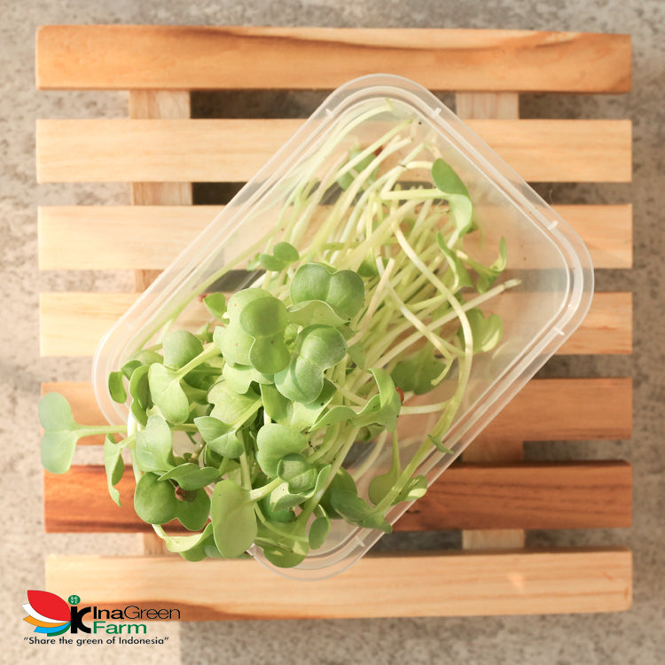 Inagreen Farm Bandung Microgreen Organik White Radish