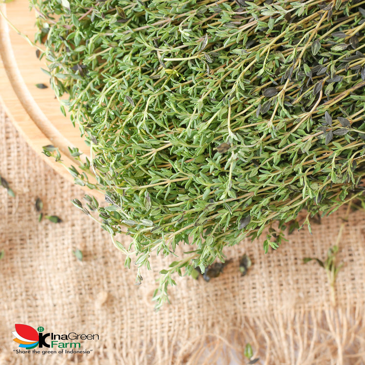 Inagreen Farm Bandung Marjoram Herbs Fresh 50 Gram