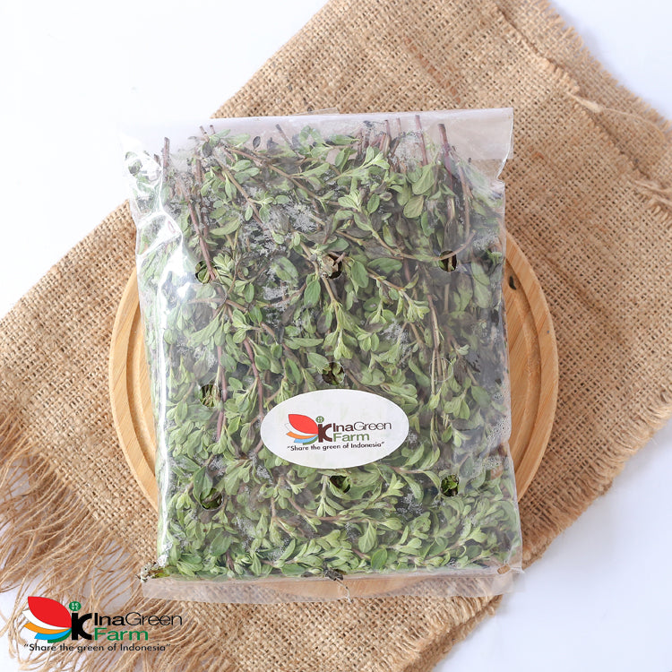 Inagreen Farm Bandung Marjoram Herbs Fresh 50 Gram