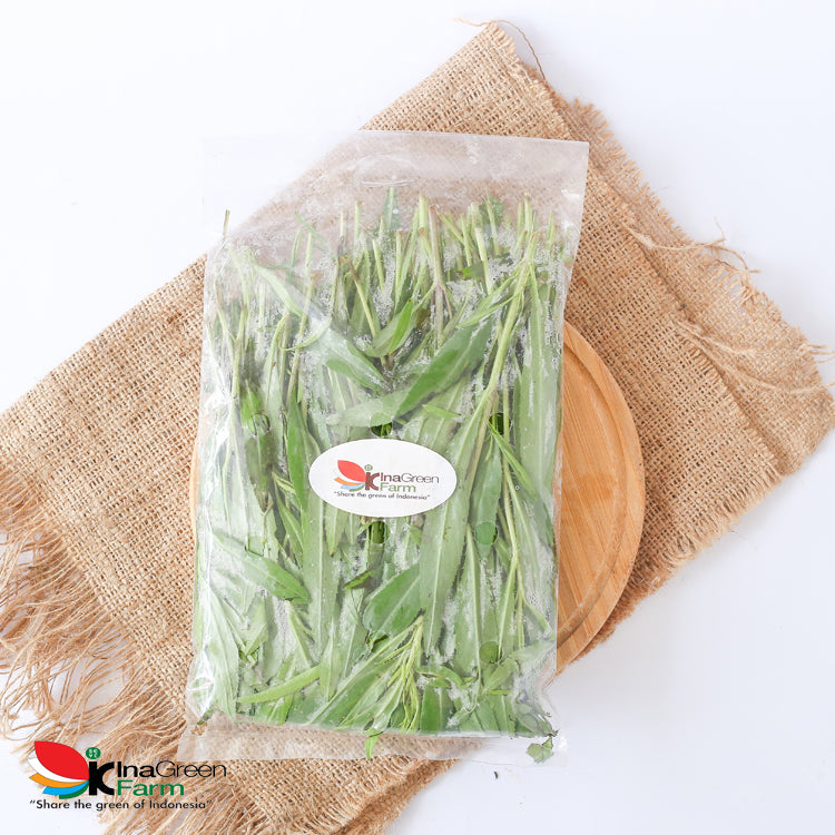 Inagreen Farm Bandung Tarragon Herbs Fresh 50 Gram
