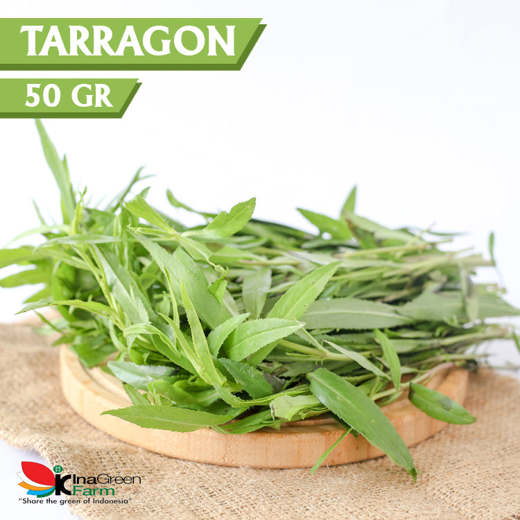 Inagreen Farm Bandung Tarragon Herbs Fresh 50 Gram