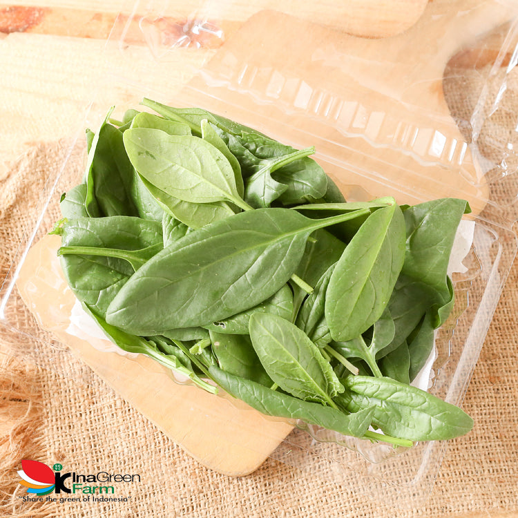 Inagreen Farm Bandung Baby Spinach Organik 100 Gram