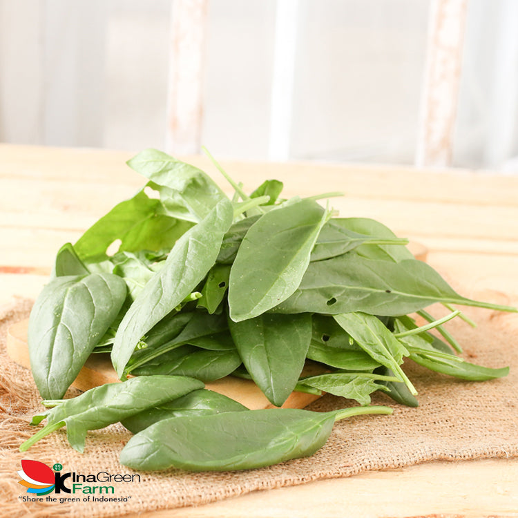 Inagreen Farm Bandung Baby Spinach Organik 100 Gram