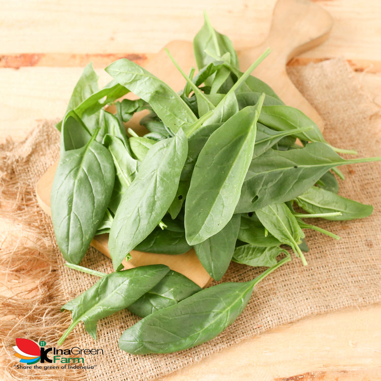 Inagreen Farm Bandung Baby Spinach Organik 100 Gram