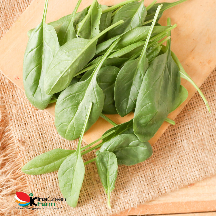 Inagreen Farm Bandung Baby Spinach Organik 100 Gram