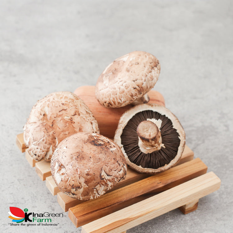 Inagreen Farm Bandung Jamur Shitake Fresh