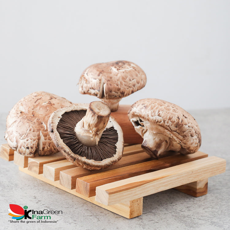 Inagreen Farm Bandung Jamur Shitake Fresh