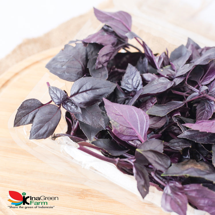 Inagreen Farm Bandung Red Basil Fresh 50 Gram