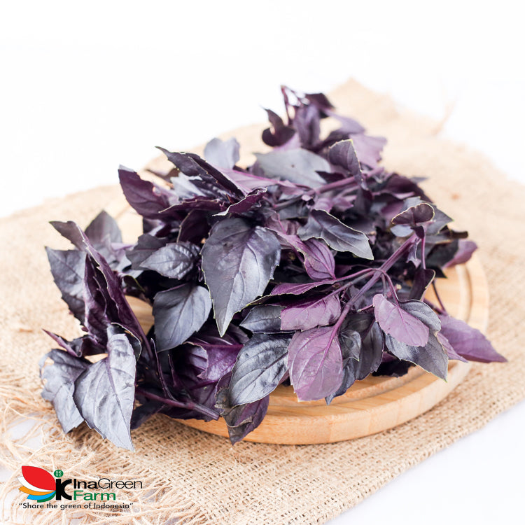 Inagreen Farm Bandung Red Basil Fresh 50 Gram