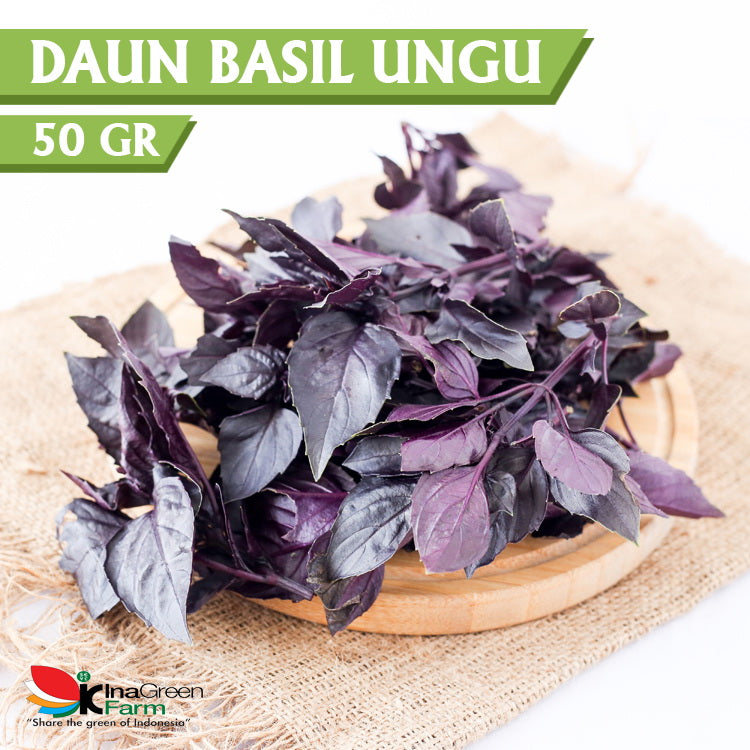 Inagreen Farm Bandung Red Basil Fresh 50 Gram