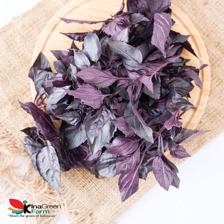 Inagreen Farm Bandung Red Basil Fresh 50 Gram