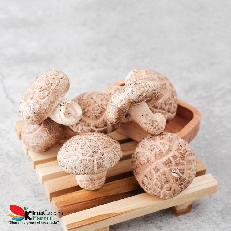 Inagreen Farm Bandung Jamur Shitake Fresh