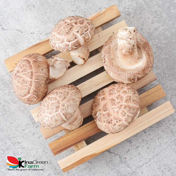 Inagreen Farm Bandung Jamur Shitake Fresh